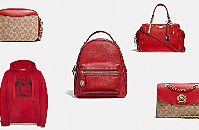 coach lunar new year collection