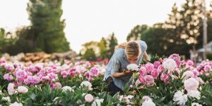 Sống xanh: Cách trồng một vườn hoa