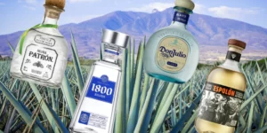 10 thương hiệu tốt nhất dành cho các tín đồ Tequila