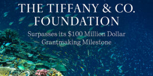 Quỹ Tiffany & Co. vượt mốc tài trợ 100 triệu đô la Mỹ