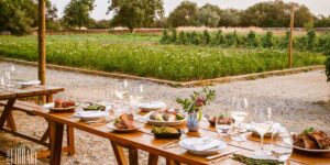 Dining Library: “Farm to table” liệu có thật sự bền vững?