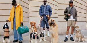Hãy dắt chó đi dạo