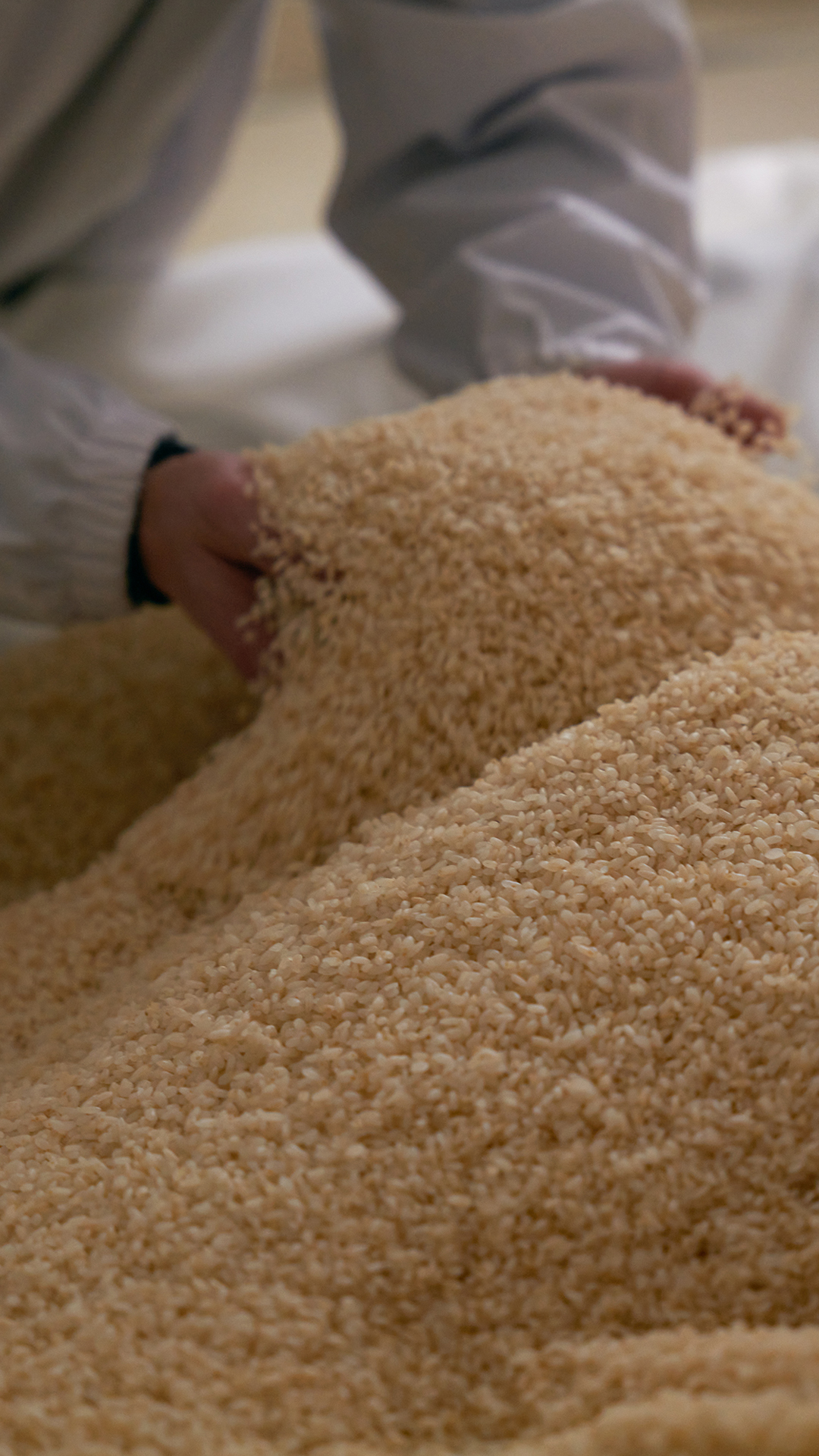 Clé de Peau Beauté - Key Radiance Care mới - dưỡng da - chăm sóc da - luxuo 5