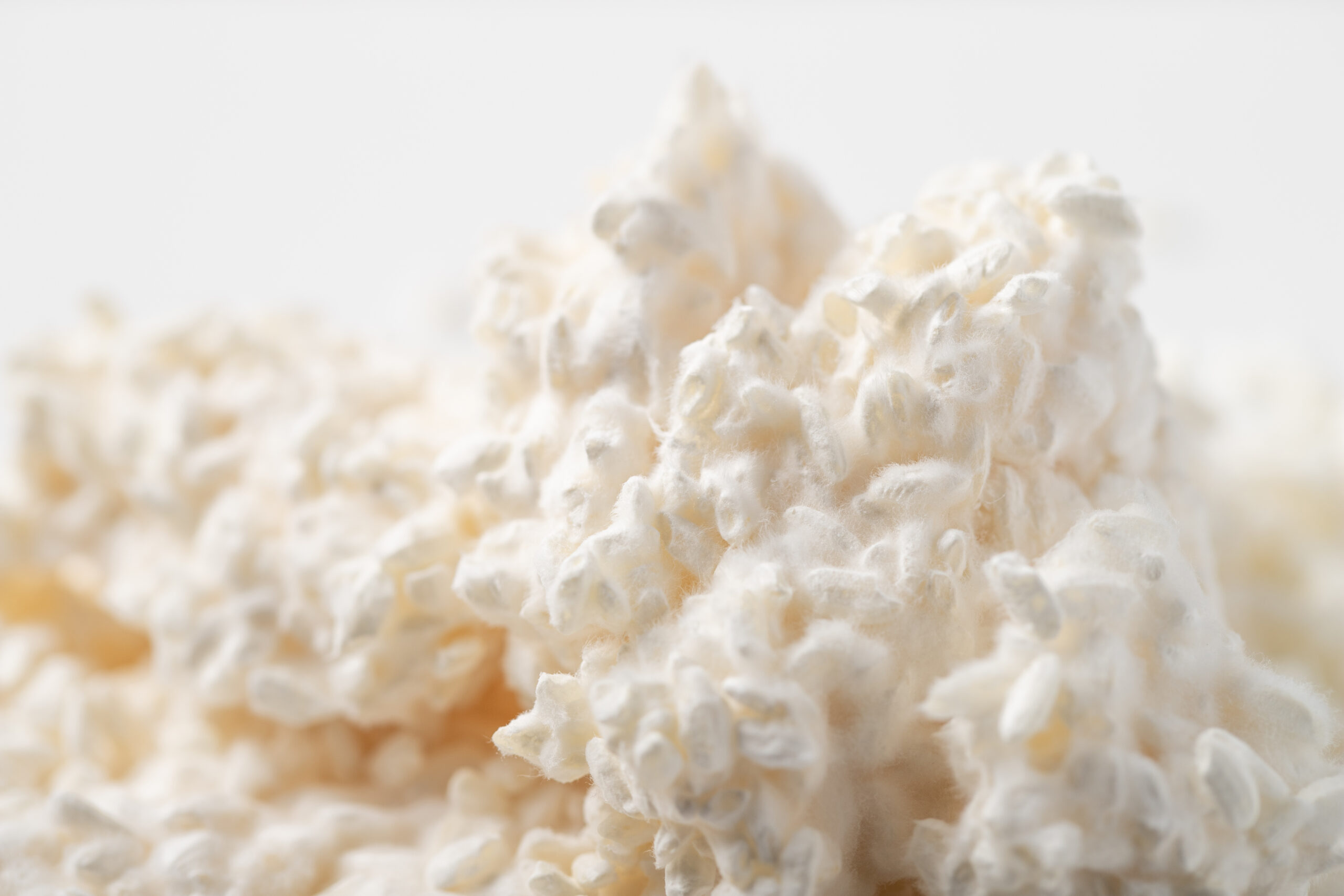 Clé de Peau Beauté - Key Radiance Care mới - dưỡng da - chăm sóc da - luxuo 