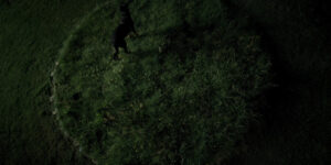 Kiến trúc qua màn ảnh rộng: Architecton – Đá, bê tông và dấu vết của loài người