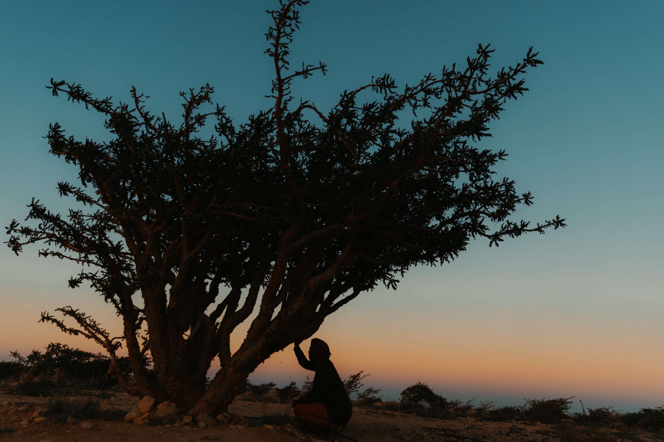 Alila - A World Awaits - chiến dịch truyền thông - du lịch trải nghiệm - du lịch bản địa - bản sắc và văn hóa - thiên nhiên - luxuo 2