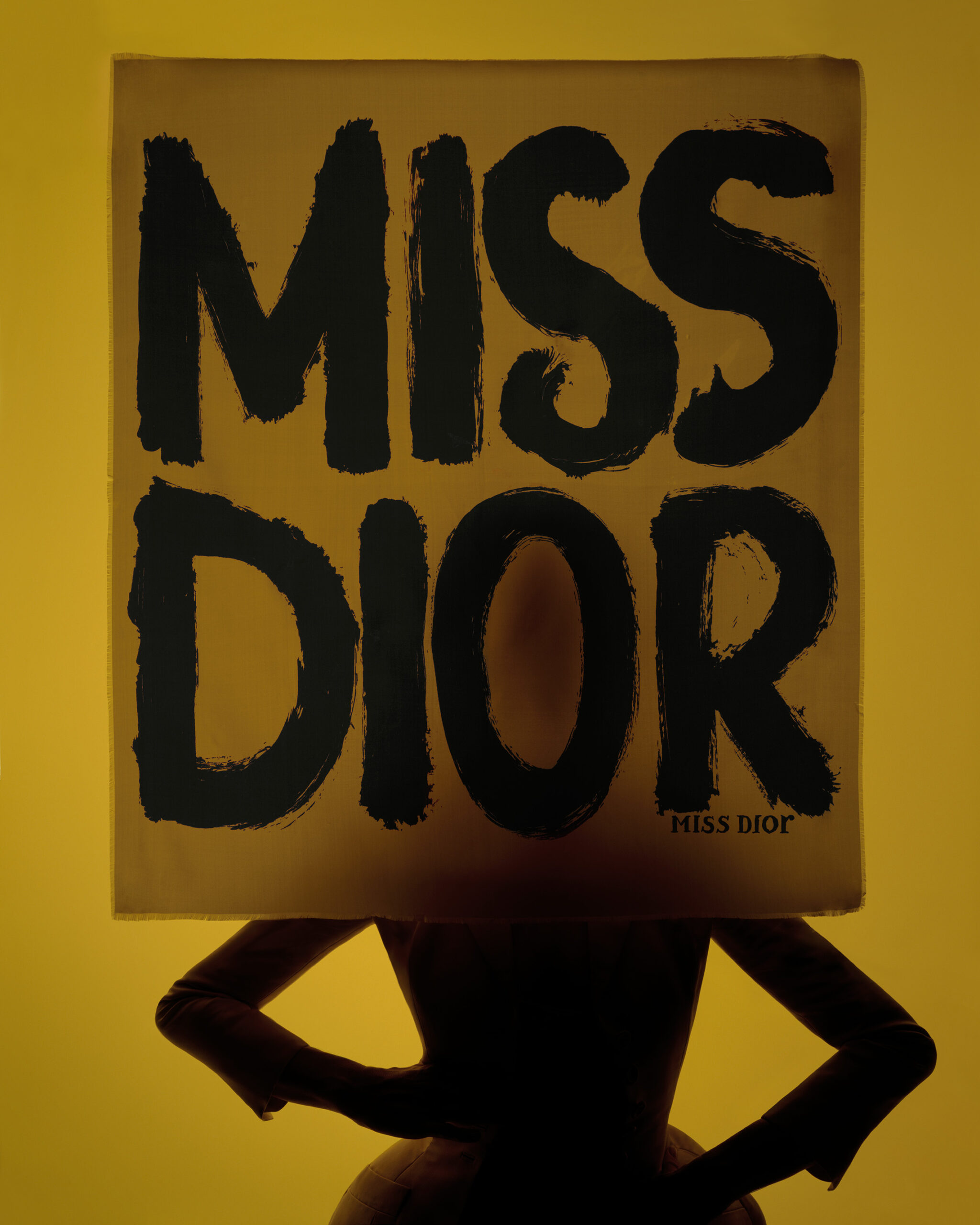 UBS House of Craft - Dior - Brigitte Niedermair - triển lãm thời trang - haute couture - thời trang cao cấp - luxuo 5