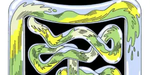 Bên trong thế giới “sức khỏe đường ruột”: Cái bẫy của ngành công nghiệp 300 triệu đô