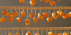 Trái hồng: Hành trình vượt thời gian mang mùa thu vào ẩm thực