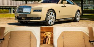 Rolls-Royce Spectre Bailey: Lời tri ân đến người bạn bốn chân trung thành
