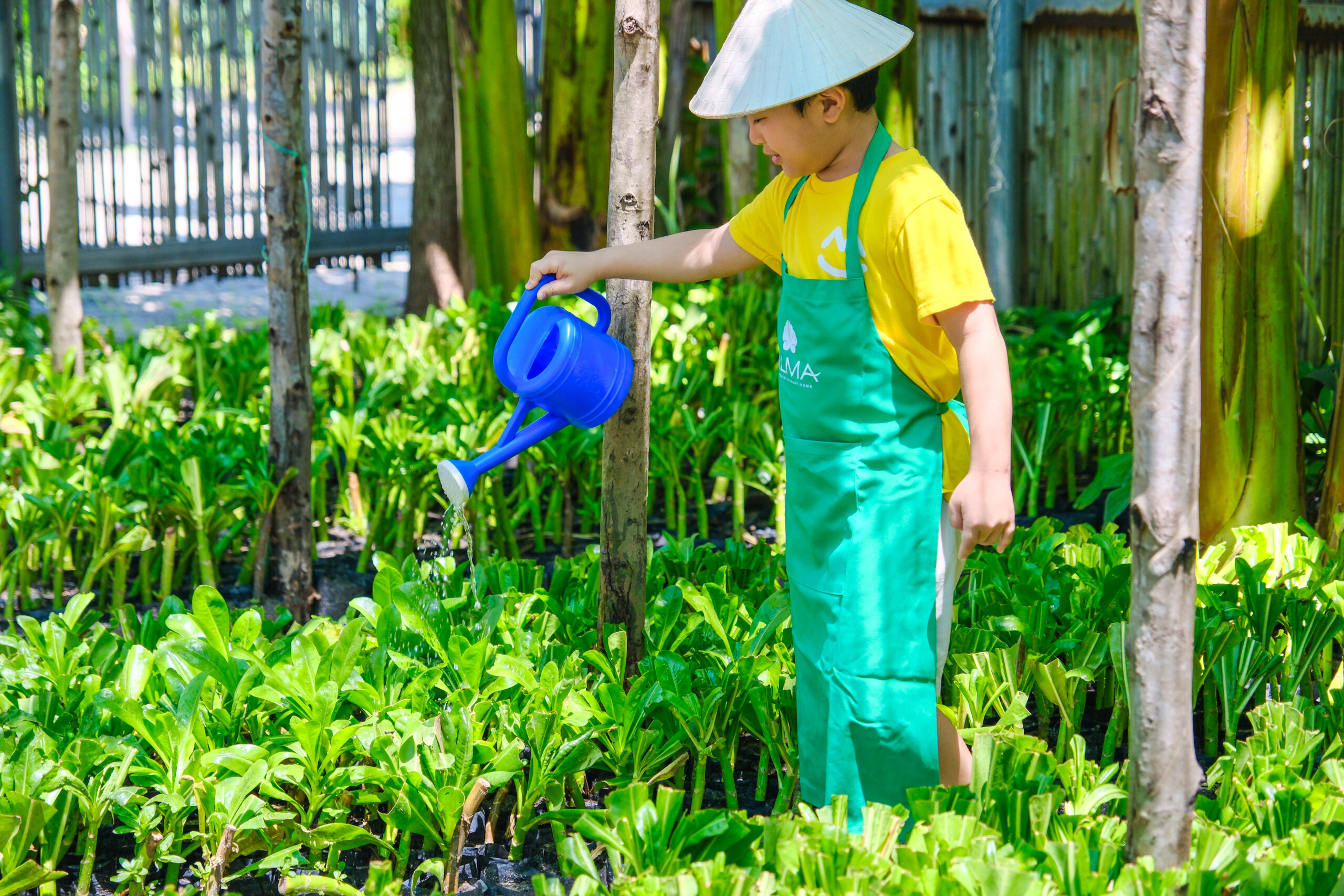 khu nghỉ dưỡng - Alma Discovery Camp - khu nghỉ dưỡng gia đình - hoạt động vui chơi trẻ em - luxuo 1