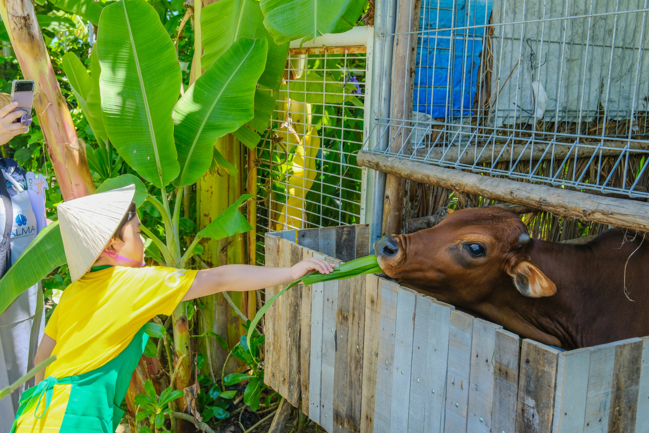 khu nghỉ dưỡng - Alma Discovery Camp - khu nghỉ dưỡng gia đình - hoạt động vui chơi trẻ em - luxuo 2