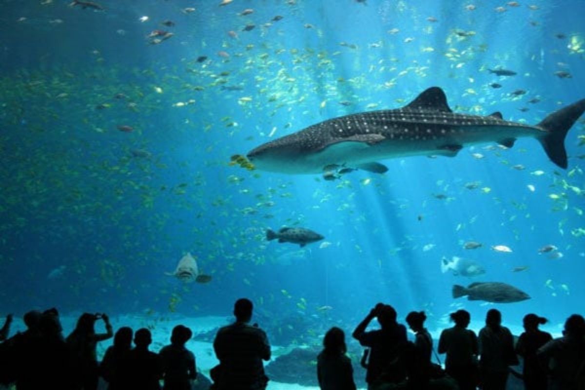 khu nghỉ dưỡng - du lịch gia đình - nghỉ dưỡng cao cấp - trải nghiệm văn hóa - luxuo 27