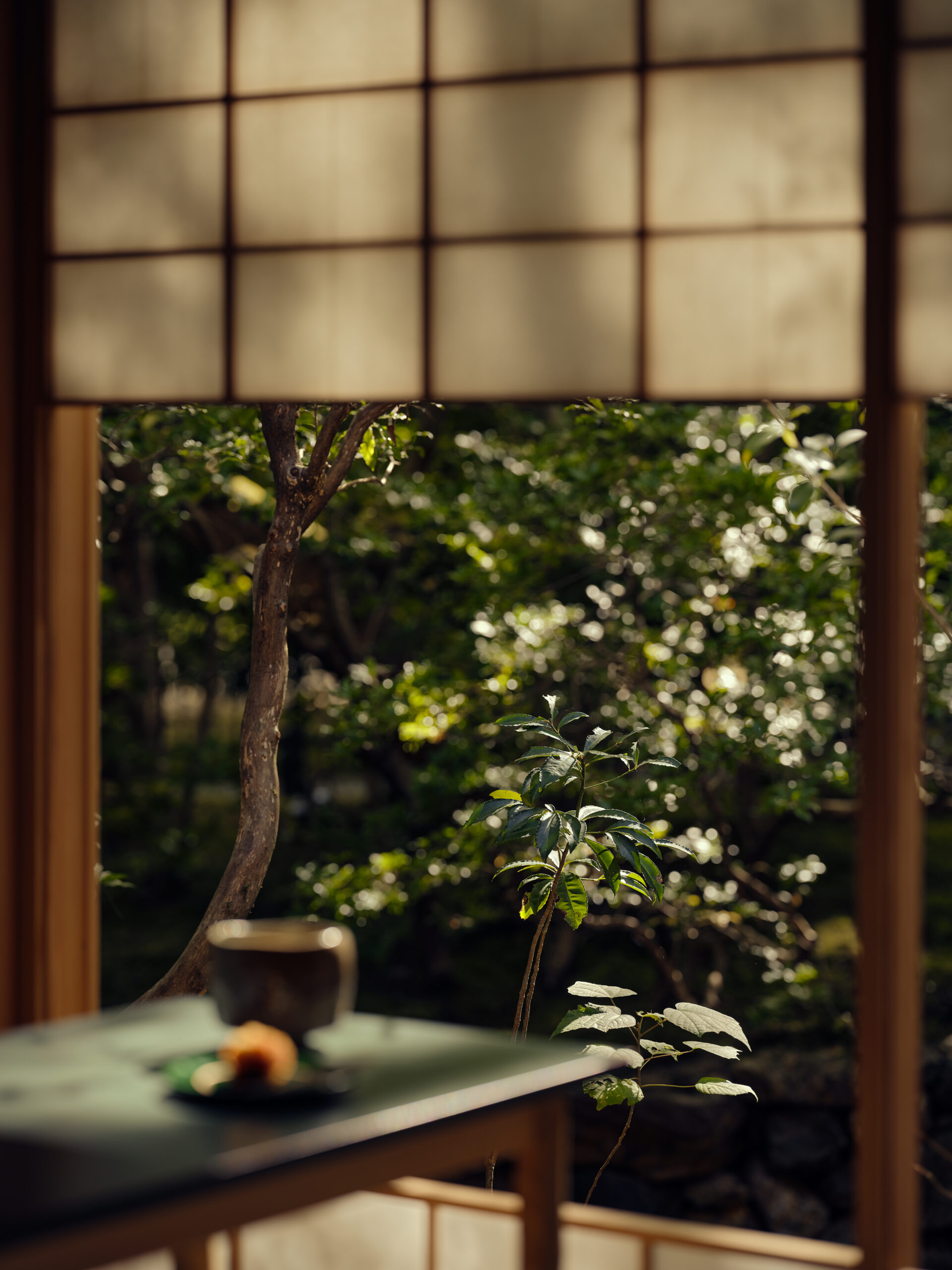 Aman - nghỉ dưỡng sang trọng - trải nghiệm thiên nhiên - lưu trú sang trọng - du lịch xa xỉ - luxuo 10