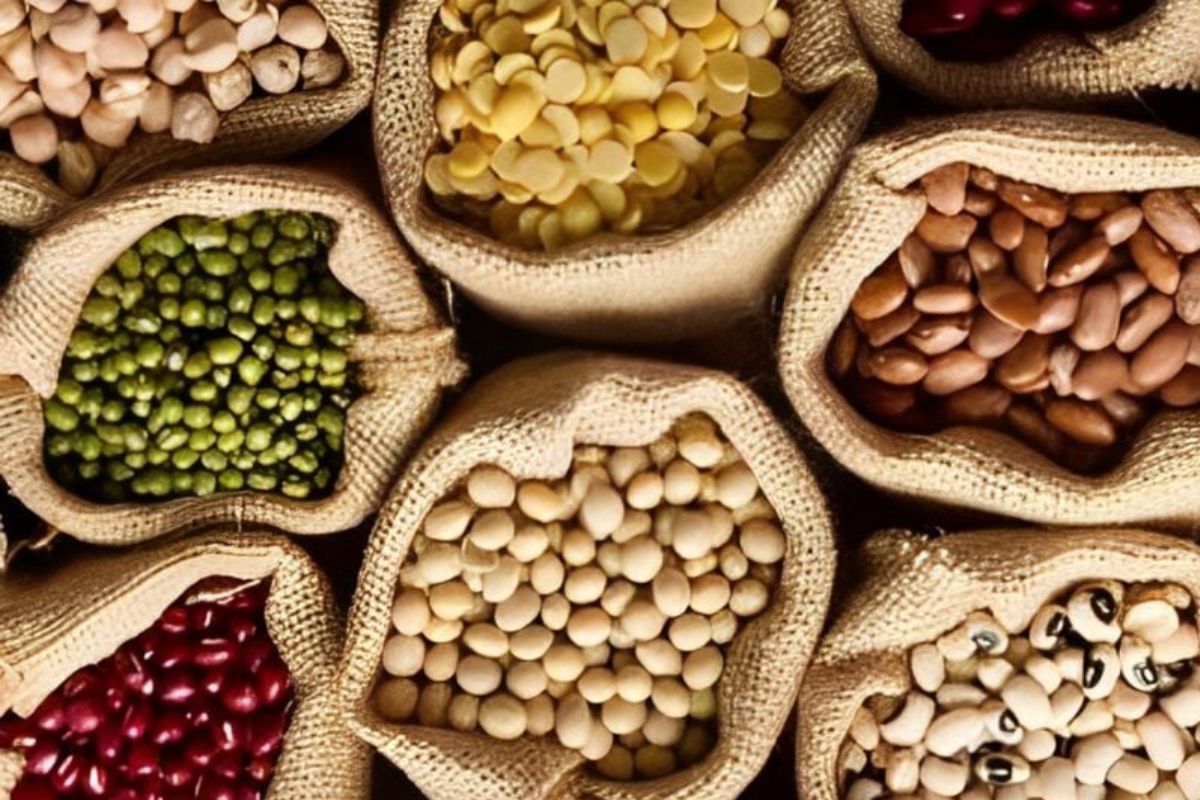 protein thực vật - dinh dưỡng thuần chay - thực phẩm giàu đạm - chăm sóc sức khỏe - lối sống lành mạnh - luxuo 9