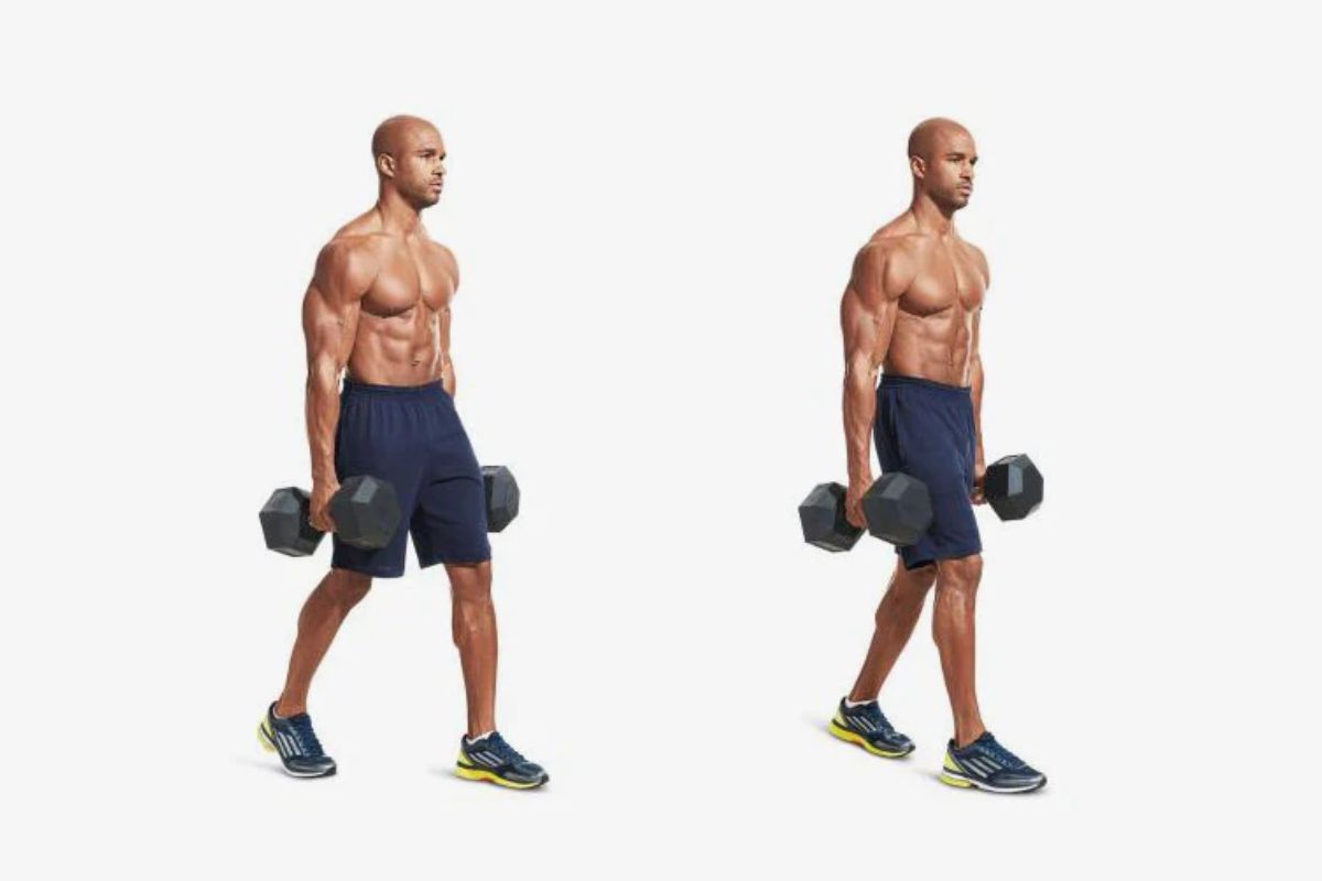 tập thể dục - tập tạ - luyện tập kháng lực - chăm sóc sức khỏe - luxuo 16