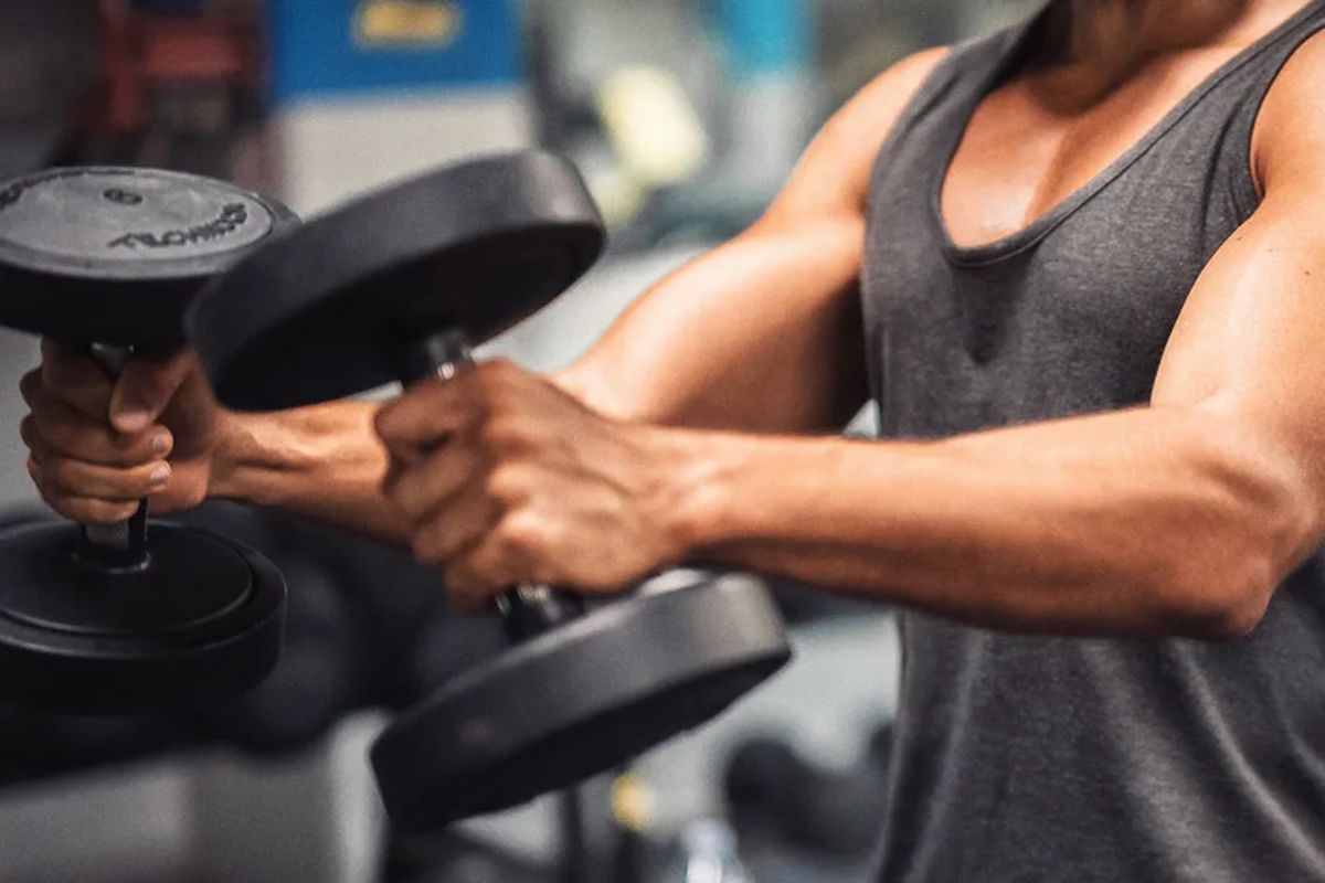 tập thể dục - tập tạ - luyện tập kháng lực - chăm sóc sức khỏe - luxuo 3