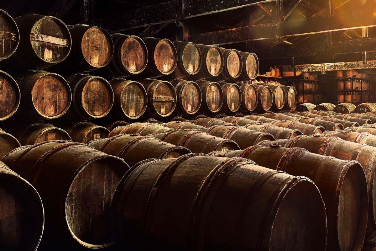 thưởng thức rượu vang - trải nghiệm đa giác quan - whisky - luxuo 11