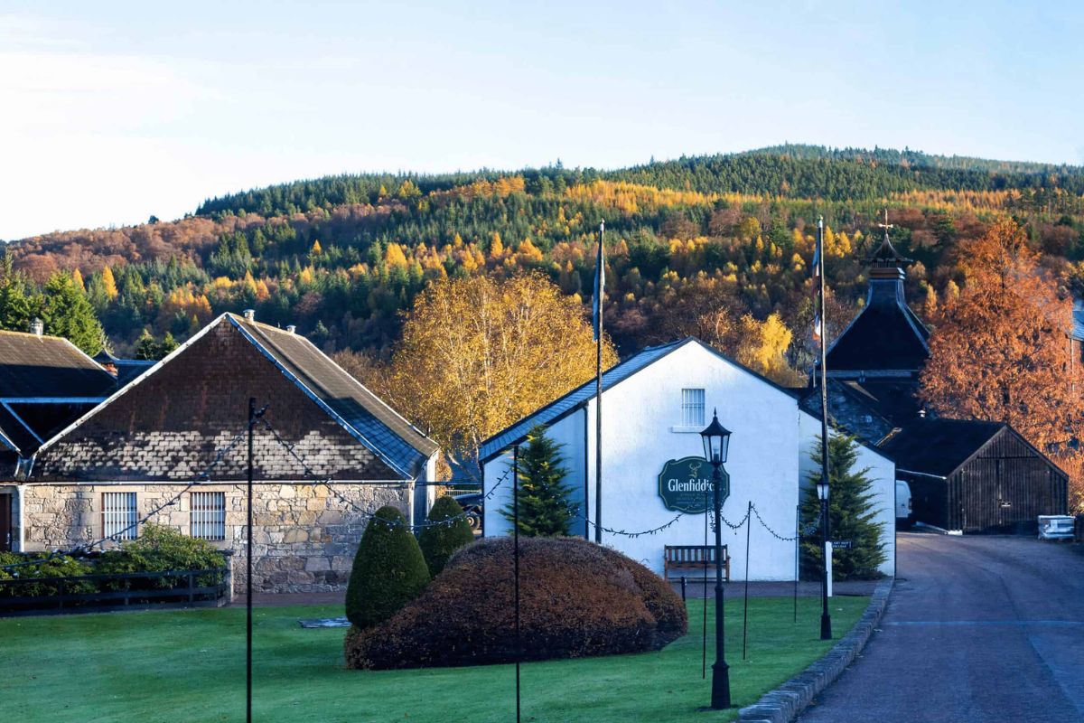 thưởng thức rượu vang - trải nghiệm đa giác quan - whisky - luxuo 17