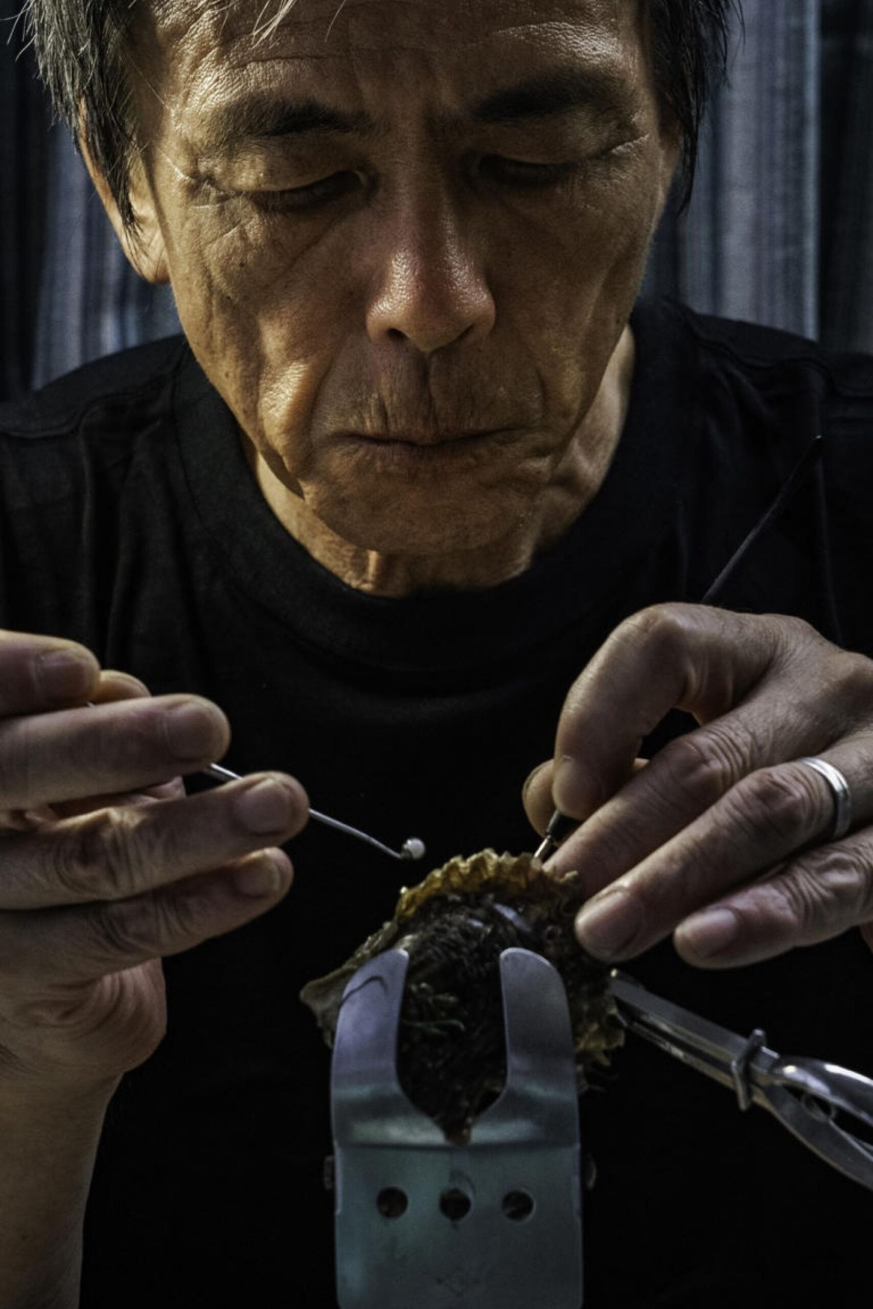 ngọc trai akoya - vịnh Ago Nhật Bản - ngành nuôi cấy ngọc trai - luxuo 16