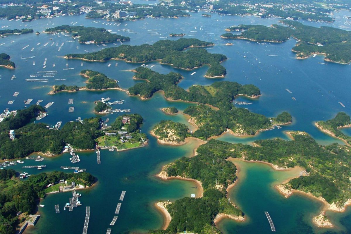 ngọc trai akoya - vịnh Ago Nhật Bản - ngành nuôi cấy ngọc trai - luxuo 2