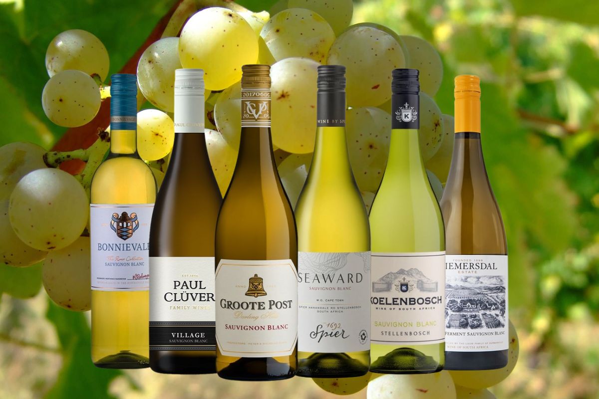 thưởng thức rượu - trải nghiệm vị giác - nghệ thuật uống rượu - luxuo 4