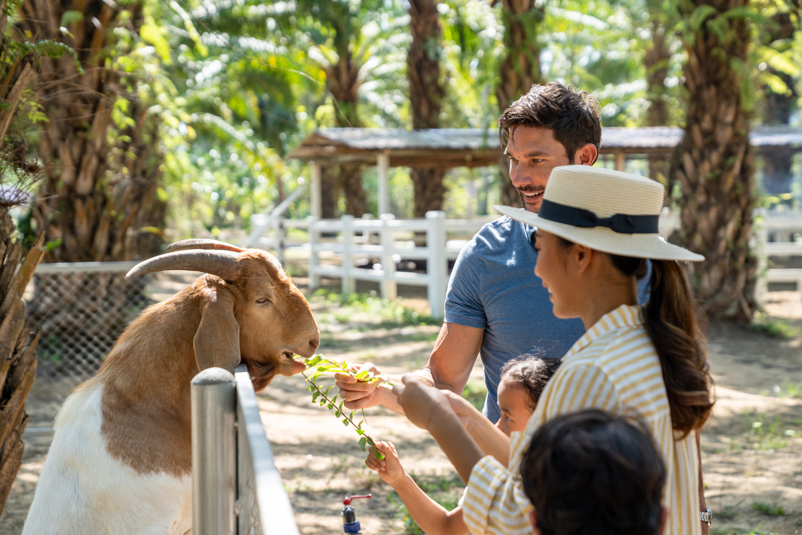 JW Marriott Khao Lak - Return to Paradise - nghỉ dưỡng cao cấp - du lịch gia đình - wellness retreat - luxuo 12