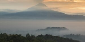 30 năm triết lý trường thọ Aman: Trở về tự nhiên và trí tuệ ngàn xưa