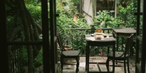 Phong vị Hà Thành và cảm thức bốn mùa